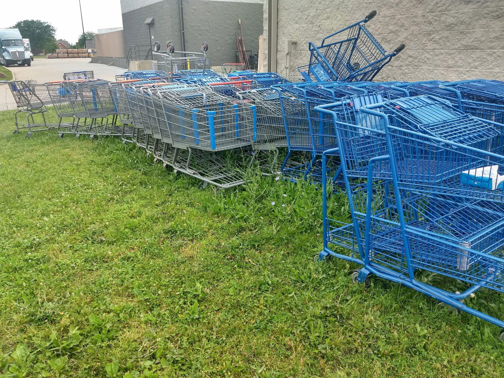 Shopping carts